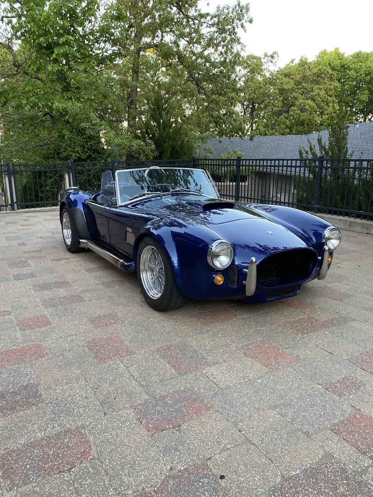 Cobra photo 2