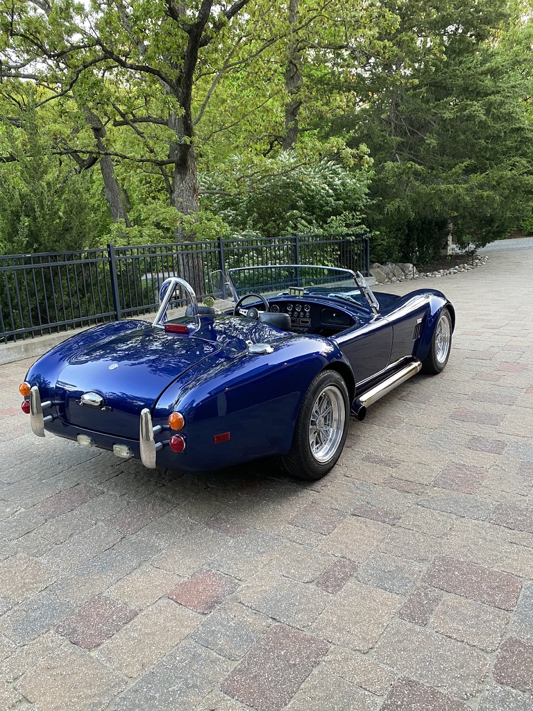 Cobra photo 5